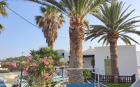 Palm Studios